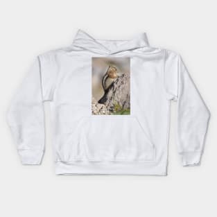 Cascade golden-mantled ground squirrel Kids Hoodie